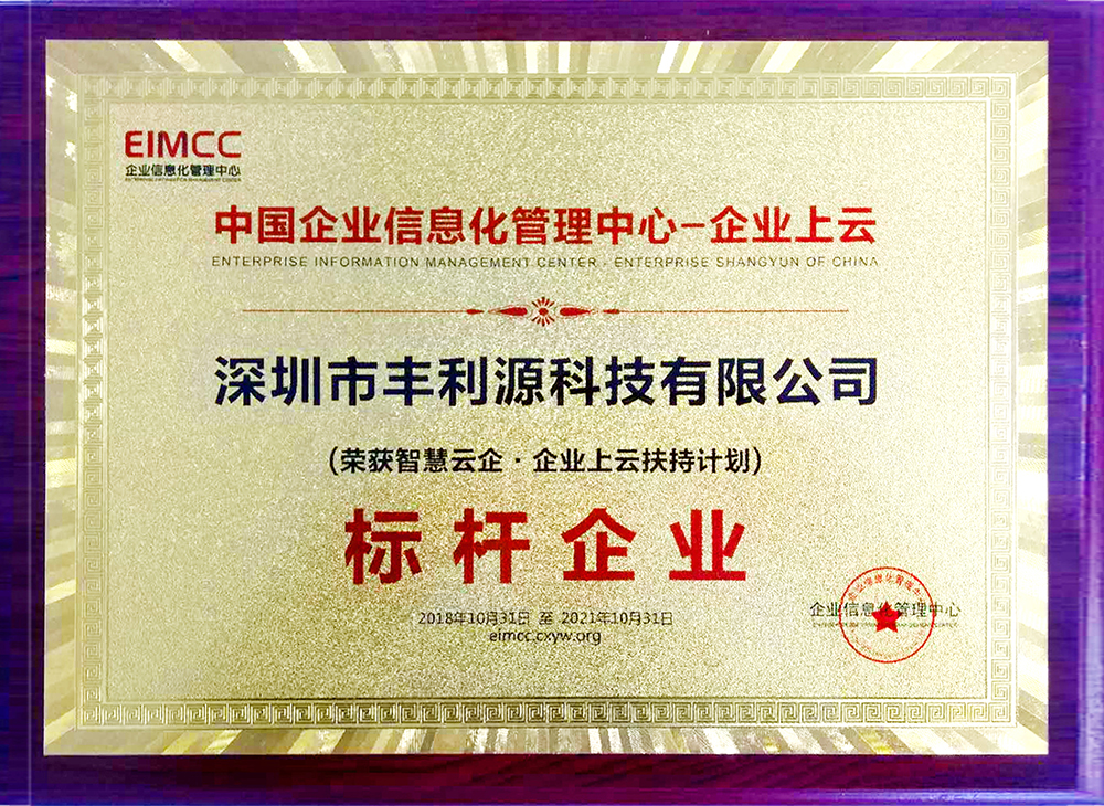 中国企业信息化管理中心授予丰利源公司标杆企业