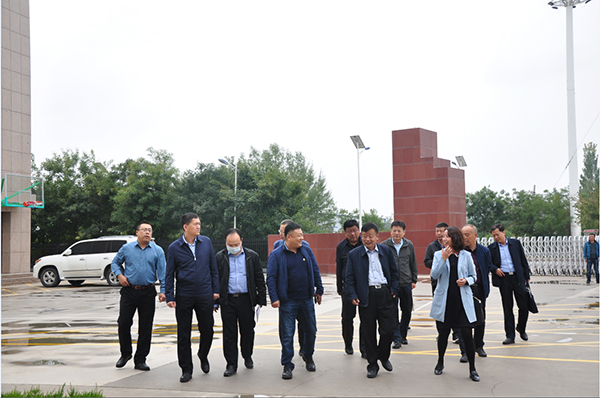 1601370085188210.jpg 01.jpg